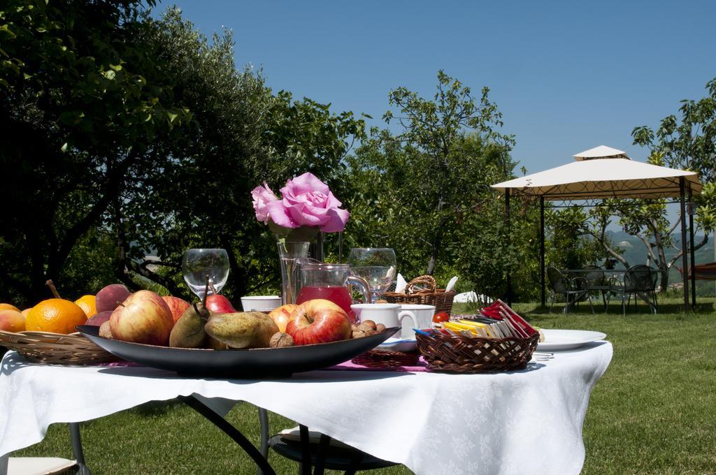Cascina Rosa B&B Grazzano Badoglio Exterior photo